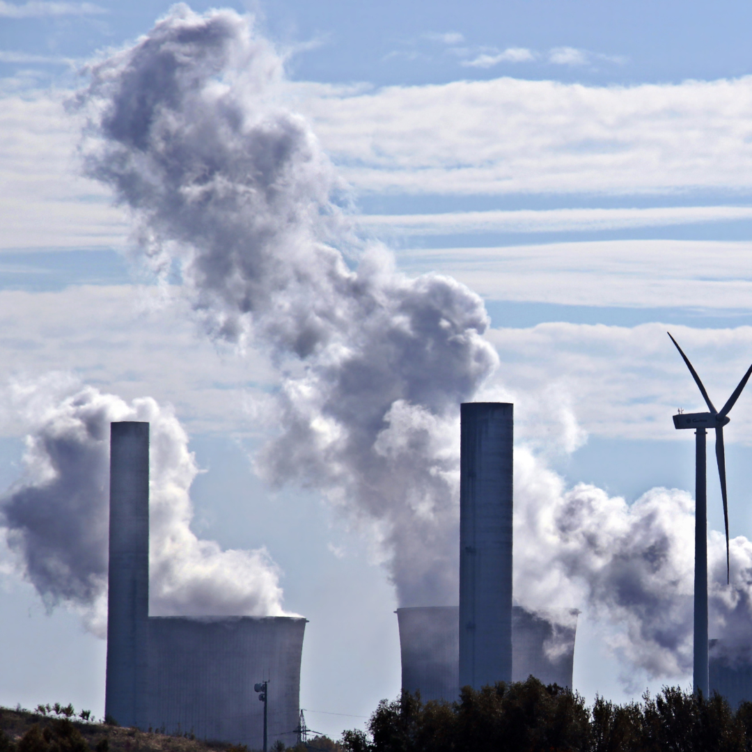exposição a nanopartículas de carbono