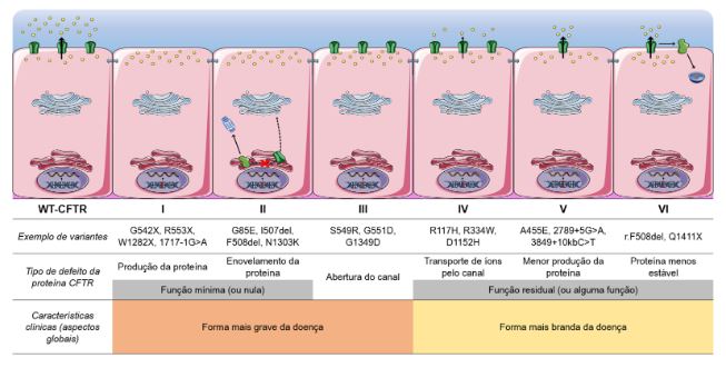 mutações do gene CFTR