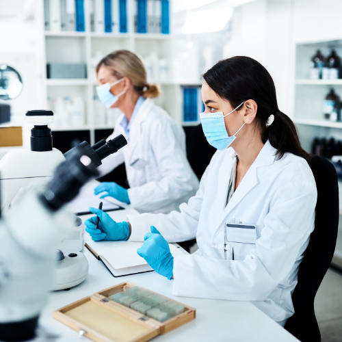 ensaio clínico de Fase I da terapia KIT2014